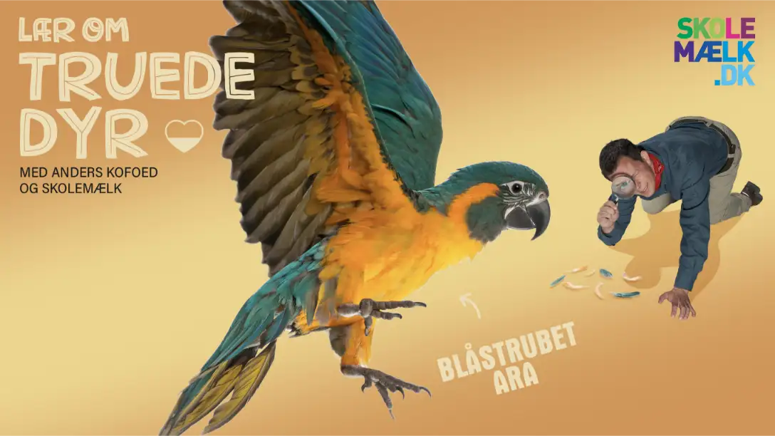 Lær om truede dyr - Araen