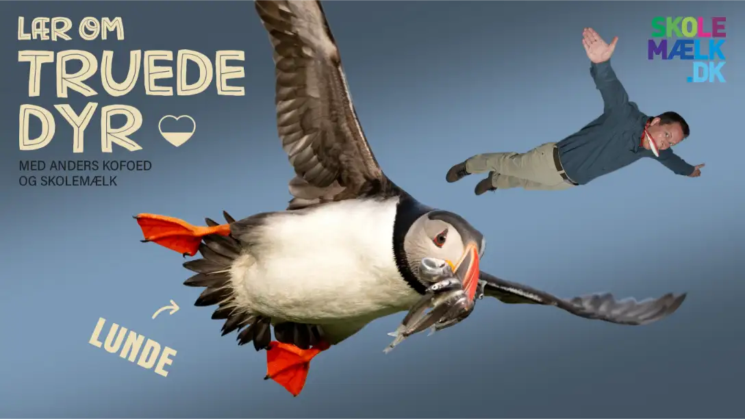 Lær om truede dyr - Lunden